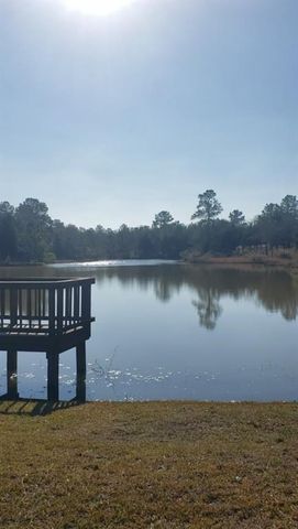 26702 Callie Drive, Hempstead, TX 77445