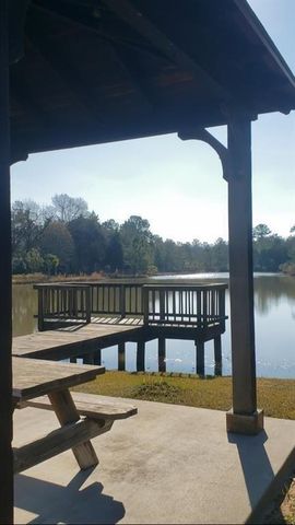 26702 Callie Drive, Hempstead, TX 77445