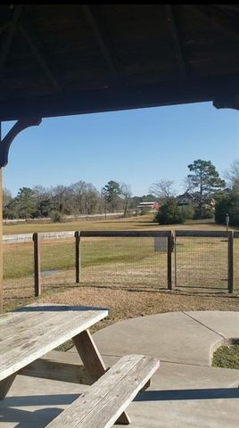 26702 Callie Drive, Hempstead, TX 77445