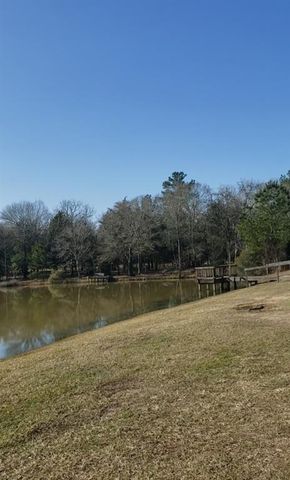 26702 Callie Drive, Hempstead, TX 77445