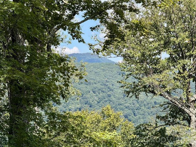 92 Goldenleaf Road, Mars Hill, NC 28754