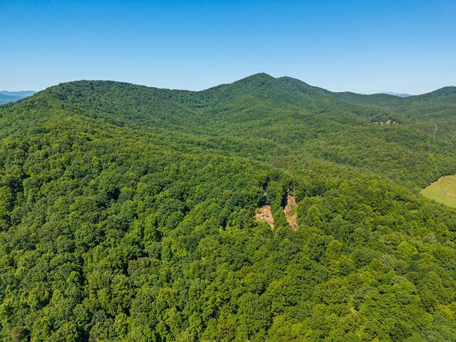 913 Royal Oaks Trail, Brasstown, NC 28902