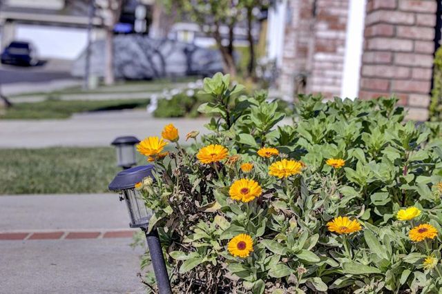 5254 Country Forge Lane, San Jose, CA 95136