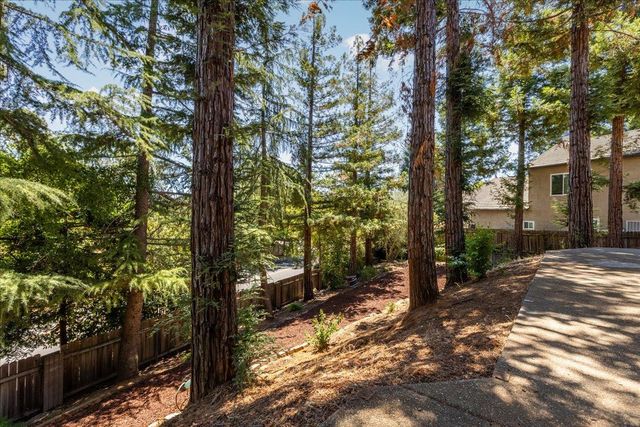1045 Fox Run Ct, Auburn, CA 95603