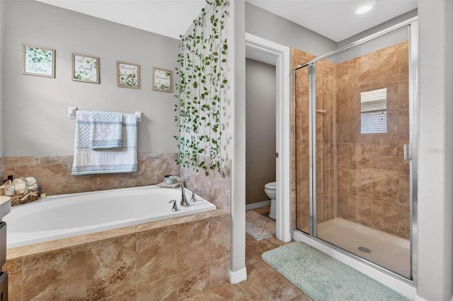18021 ATHERSTONE TRAIL, Land O Lakes, FL 34638