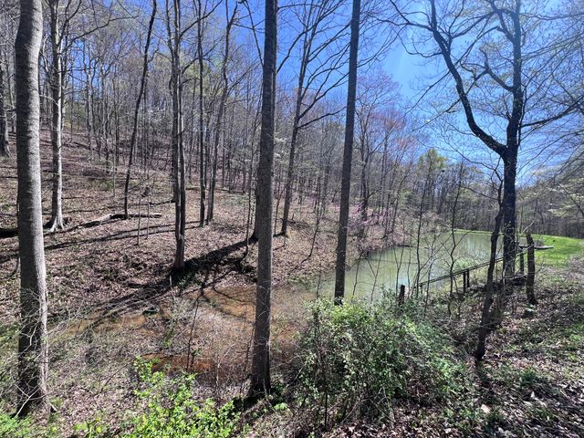 14 Clear Creek Road, Pine Knot, KY 42635