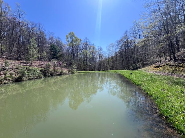 14 Clear Creek Road, Pine Knot, KY 42635