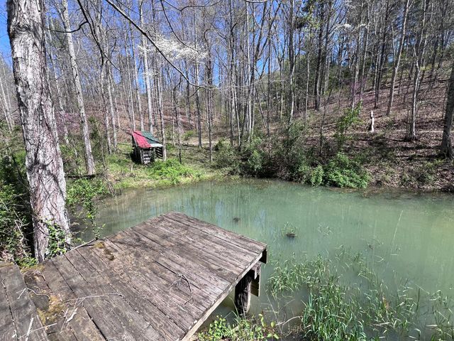 14 Clear Creek Road, Pine Knot, KY 42635