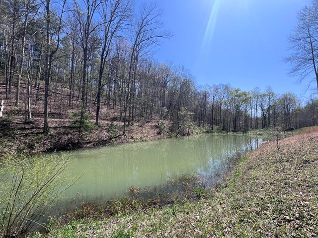 14 Clear Creek Road, Pine Knot, KY 42635