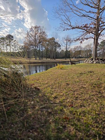 1391 Blue Heron, Manning, SC 29102