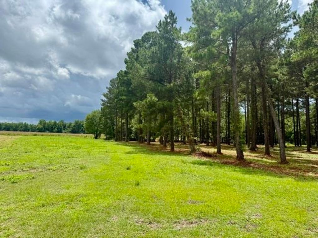 TBD Mack Rd., Conway, SC 29526 — photo 4