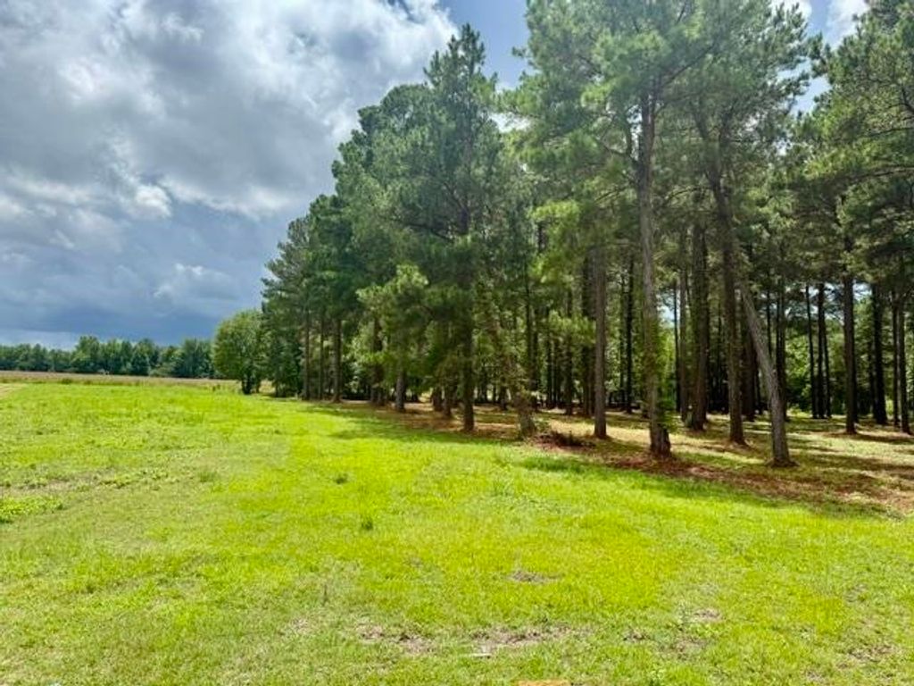 TBD Mack Rd., Conway, SC 29526 — photo 5