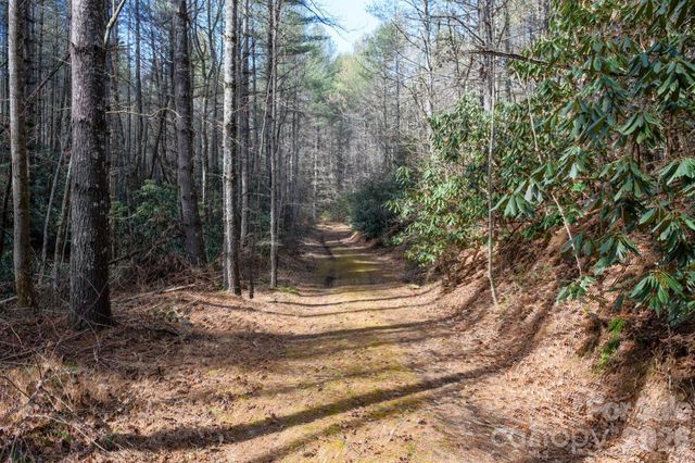 000 Narrow Gauge Drive 23, Collettsville, NC 28611