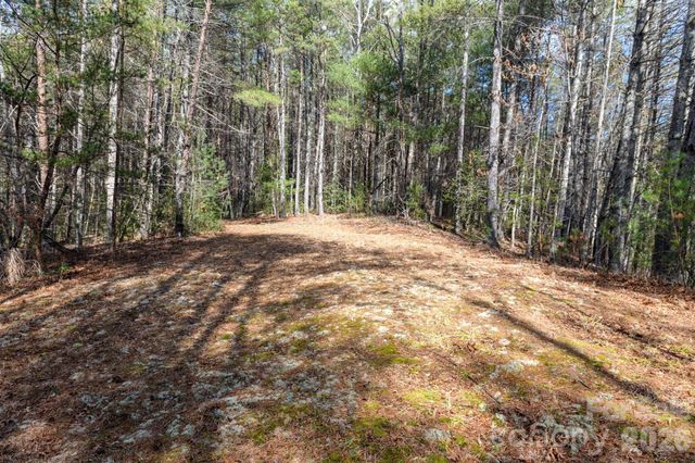 000 Narrow Gauge Drive 23, Collettsville, NC 28611