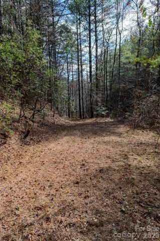 000 Narrow Gauge Drive 23, Collettsville, NC 28611