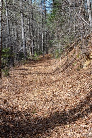 000 Narrow Gauge Drive 23, Collettsville, NC 28611