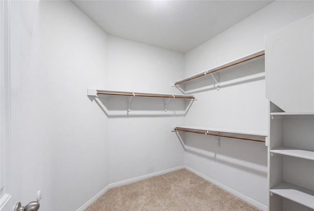 217 Evergreen Sumac LOOP, Kyle, TX 78640