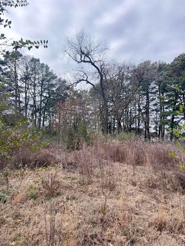 3166 Hwy 31 North Highway, Lonoke, AR 72086