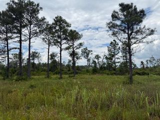 TBD Albert Hendry Road, Greenville, FL 32331