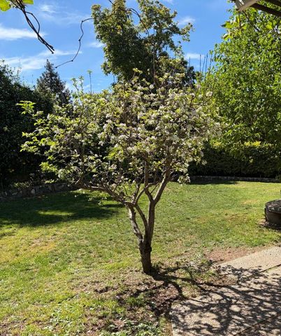 1130 Suffolk Court, Los Altos, CA 94024