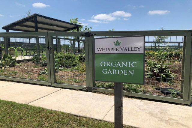 9517 Balmy LN, Manor, TX 78653