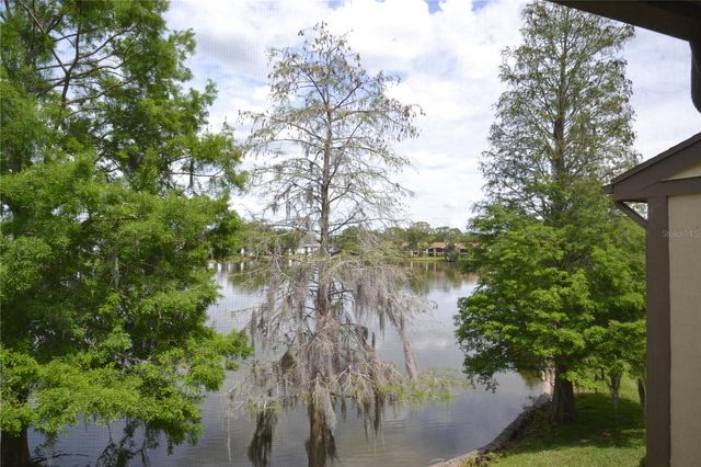 284 WOODLAKE WYNDE, Oldsmar, FL 34677