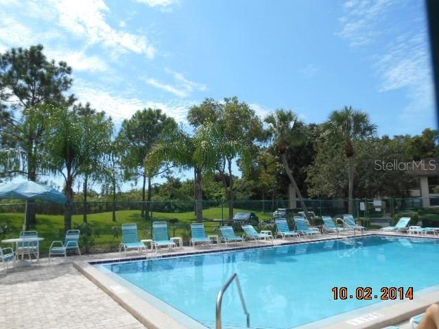 284 WOODLAKE WYNDE, Oldsmar, FL 34677