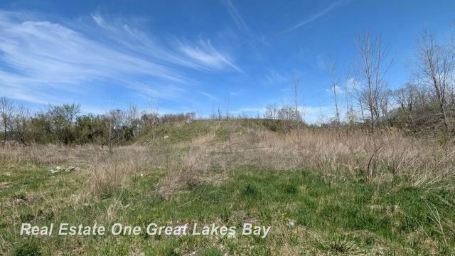 1317 S Park Avenue, Saginaw, MI 48601