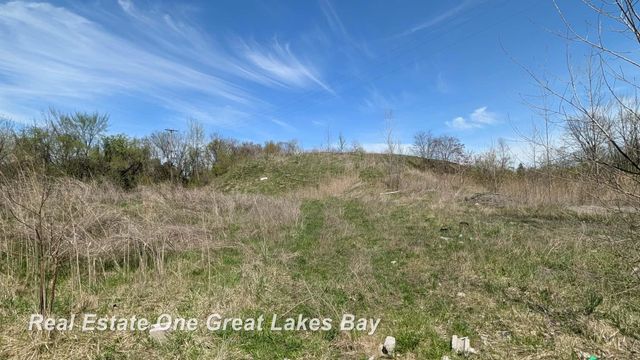 1317 S Park Avenue, Saginaw, MI 48601