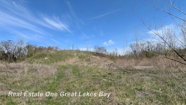 1317 S Park Avenue, Saginaw, MI 48601