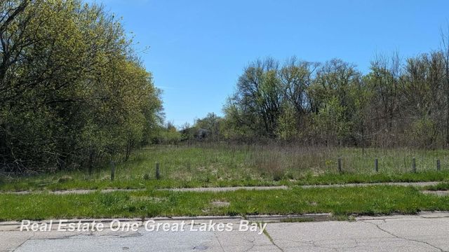 1317 S Park Avenue, Saginaw, MI 48601