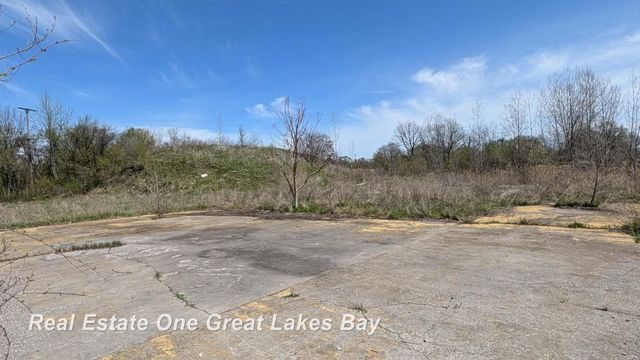 1317 S Park Avenue, Saginaw, MI 48601