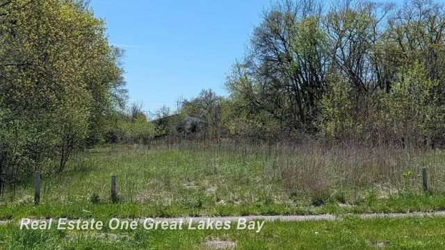 1317 S Park Avenue, Saginaw, MI 48601