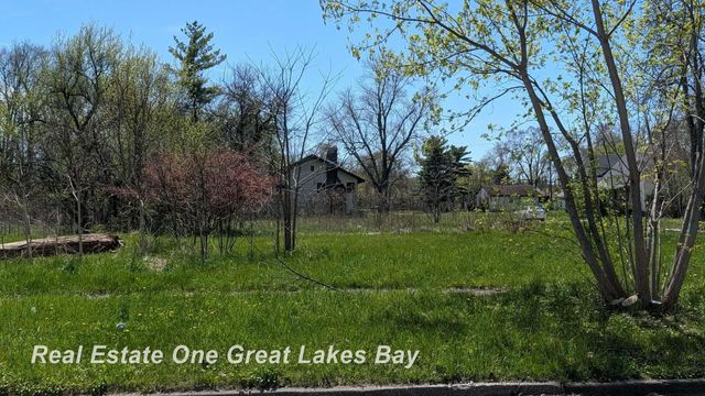 1317 S Park Avenue, Saginaw, MI 48601