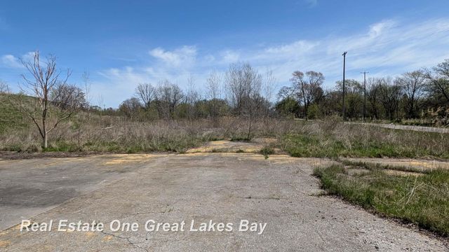 1317 S Park Avenue, Saginaw, MI 48601