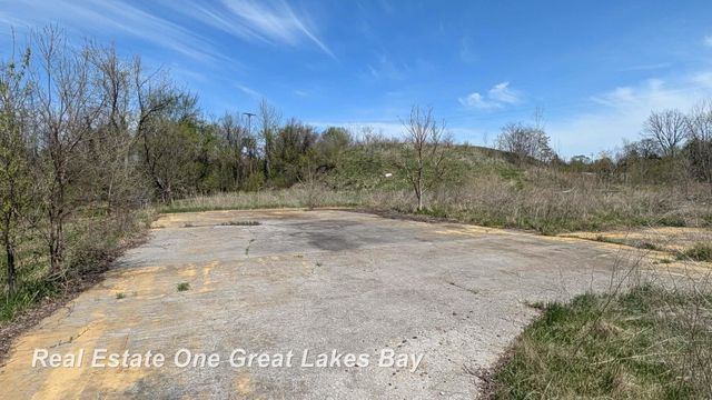 1317 S Park Avenue, Saginaw, MI 48601