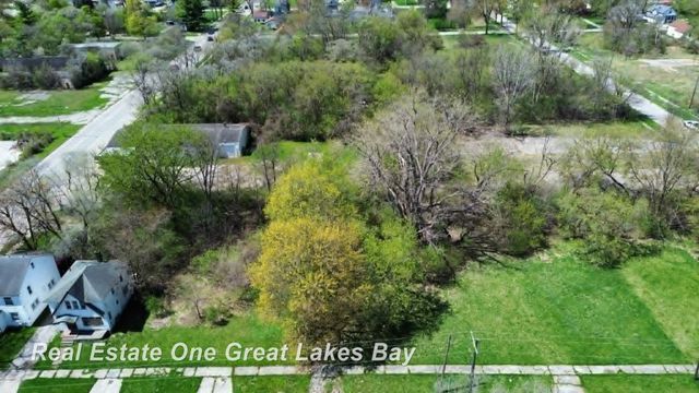 1317 S Park Avenue, Saginaw, MI 48601