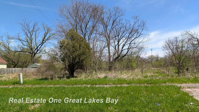 1317 S Park Avenue, Saginaw, MI 48601