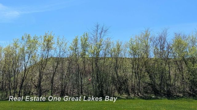 1317 S Park Avenue, Saginaw, MI 48601