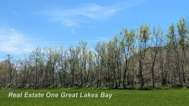 1317 S Park Avenue, Saginaw, MI 48601