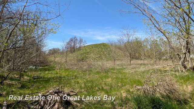 1317 S Park Avenue, Saginaw, MI 48601