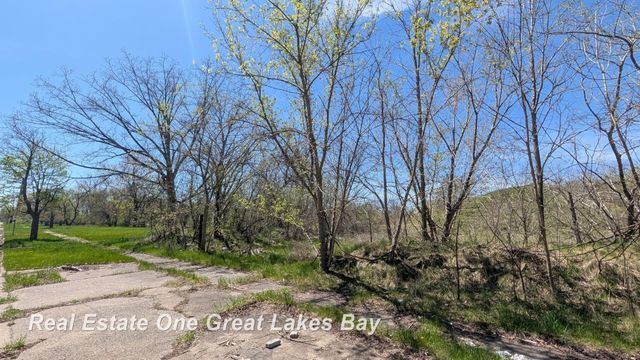 1317 S Park Avenue, Saginaw, MI 48601