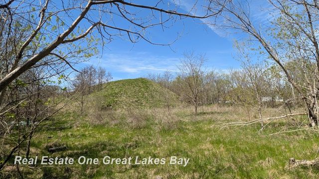 1317 S Park Avenue, Saginaw, MI 48601