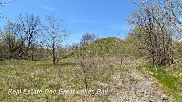1317 S Park Avenue, Saginaw, MI 48601