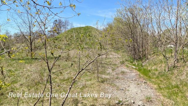 1317 S Park Avenue, Saginaw, MI 48601