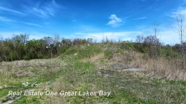 1317 S Park Avenue, Saginaw, MI 48601