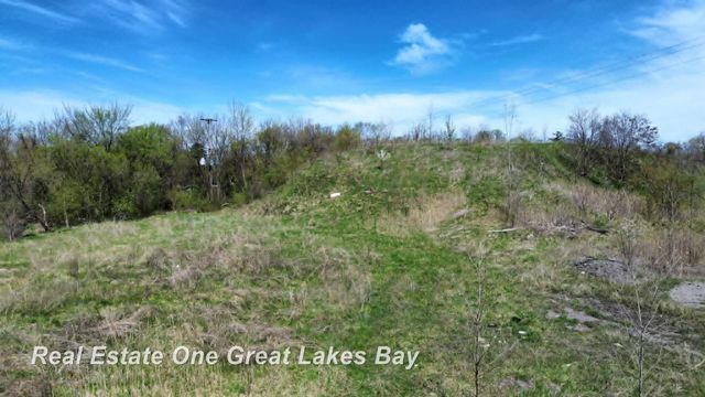 1317 S Park Avenue, Saginaw, MI 48601
