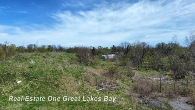 1317 S Park Avenue, Saginaw, MI 48601