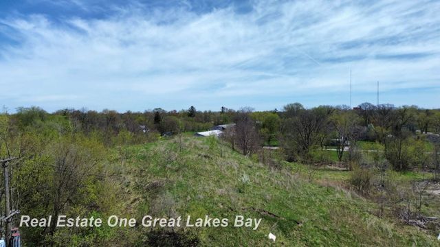 1317 S Park Avenue, Saginaw, MI 48601