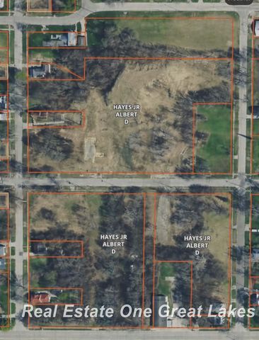 1317 S Park Avenue, Saginaw, MI 48601